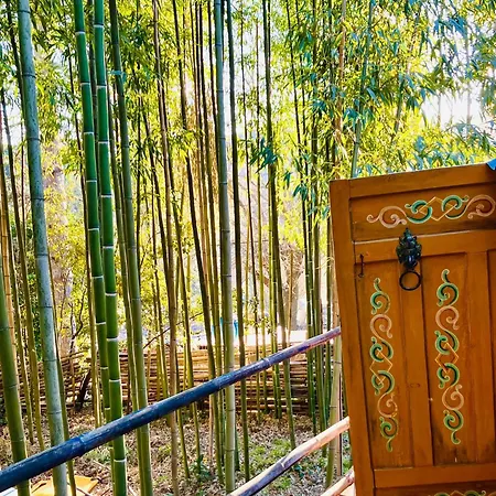 Luxe tent La Yourte Aux Bambous En Cevennes Saint-André-de-Majencoules