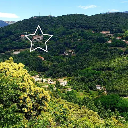 La Yourte Aux Bambous En Cevennes Luxussátor