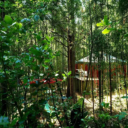 Campismo de Luxo La Yourte Aux Bambous En Cevennes