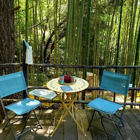 Luxe tent La Yourte Aux Bambous En Cevennes Saint-André-de-Majencoules