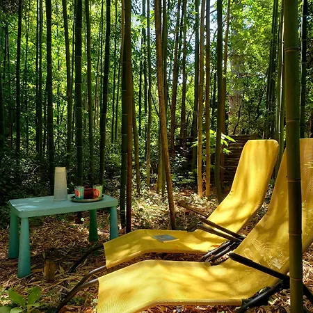 La Yourte Aux Bambous En Cevennes * Saint-André-de-Majencoules