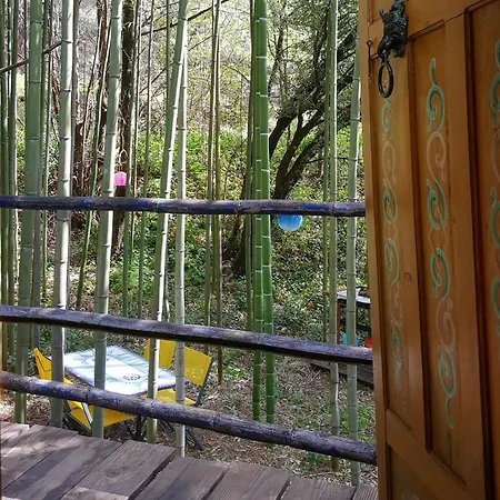 Luxussátor La Yourte Aux Bambous En Cevennes Saint-André-de-Majencoules
